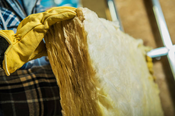 Best DIY Insulation Kits and Guidance in Evansville, WI