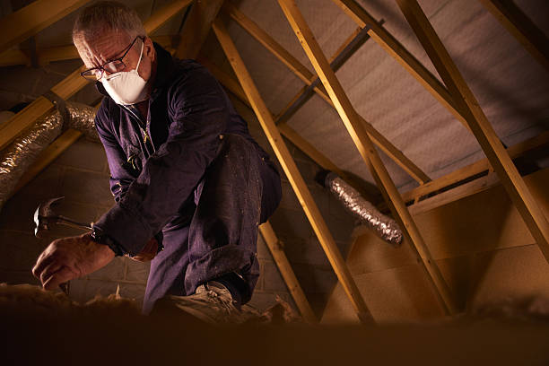 Best Residential Insulation in Evansville, WI