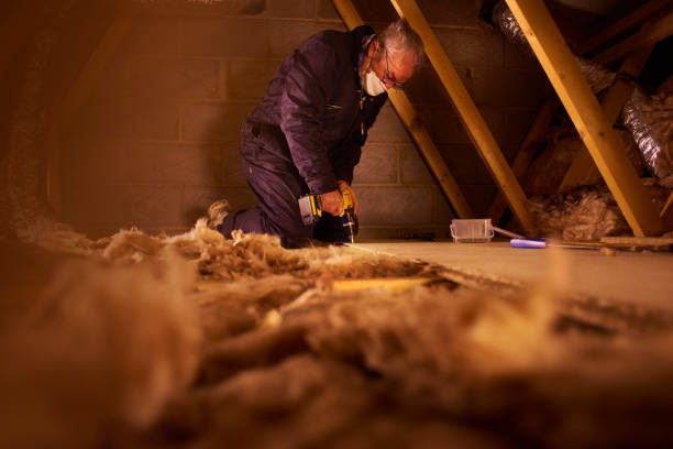 Best Specialized Insulation Services in Evansville, WI